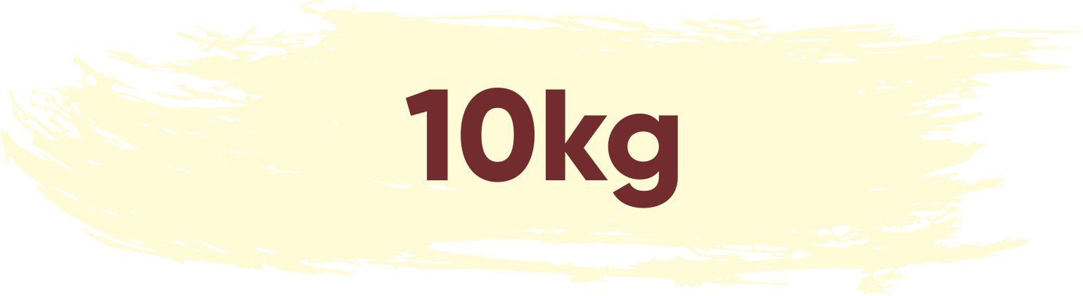 10kg