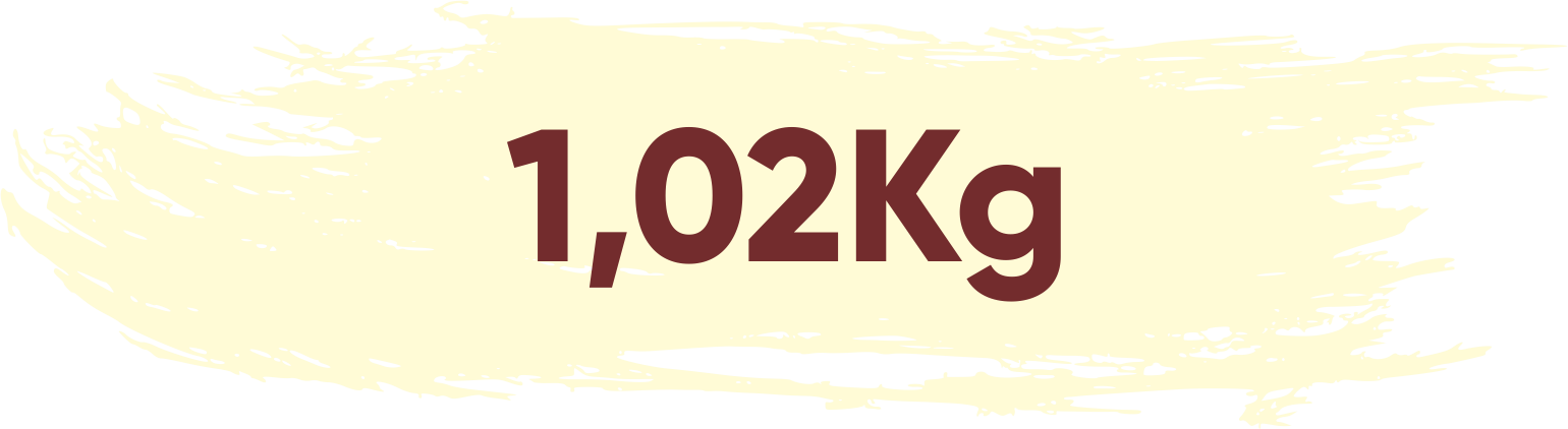 1kg