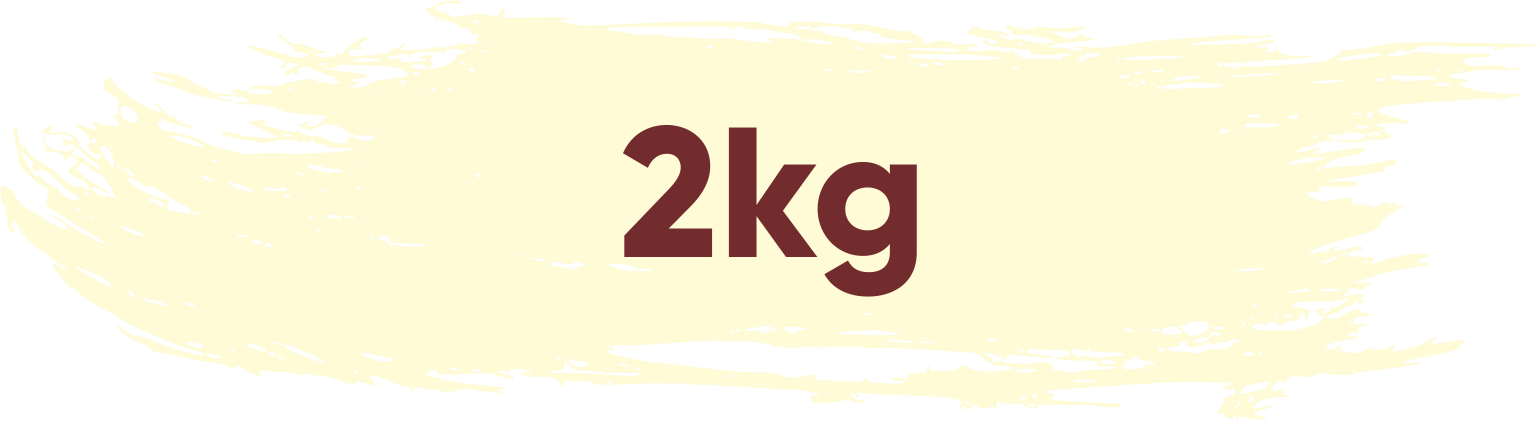 2kg